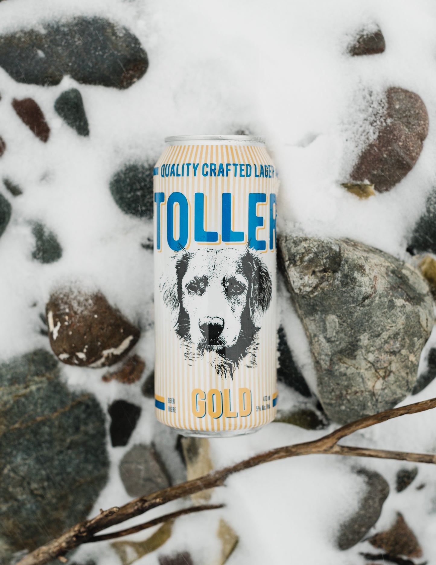 Toller Gold (473ml)