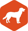 White silhouette of a dog on an orange hexagonal background