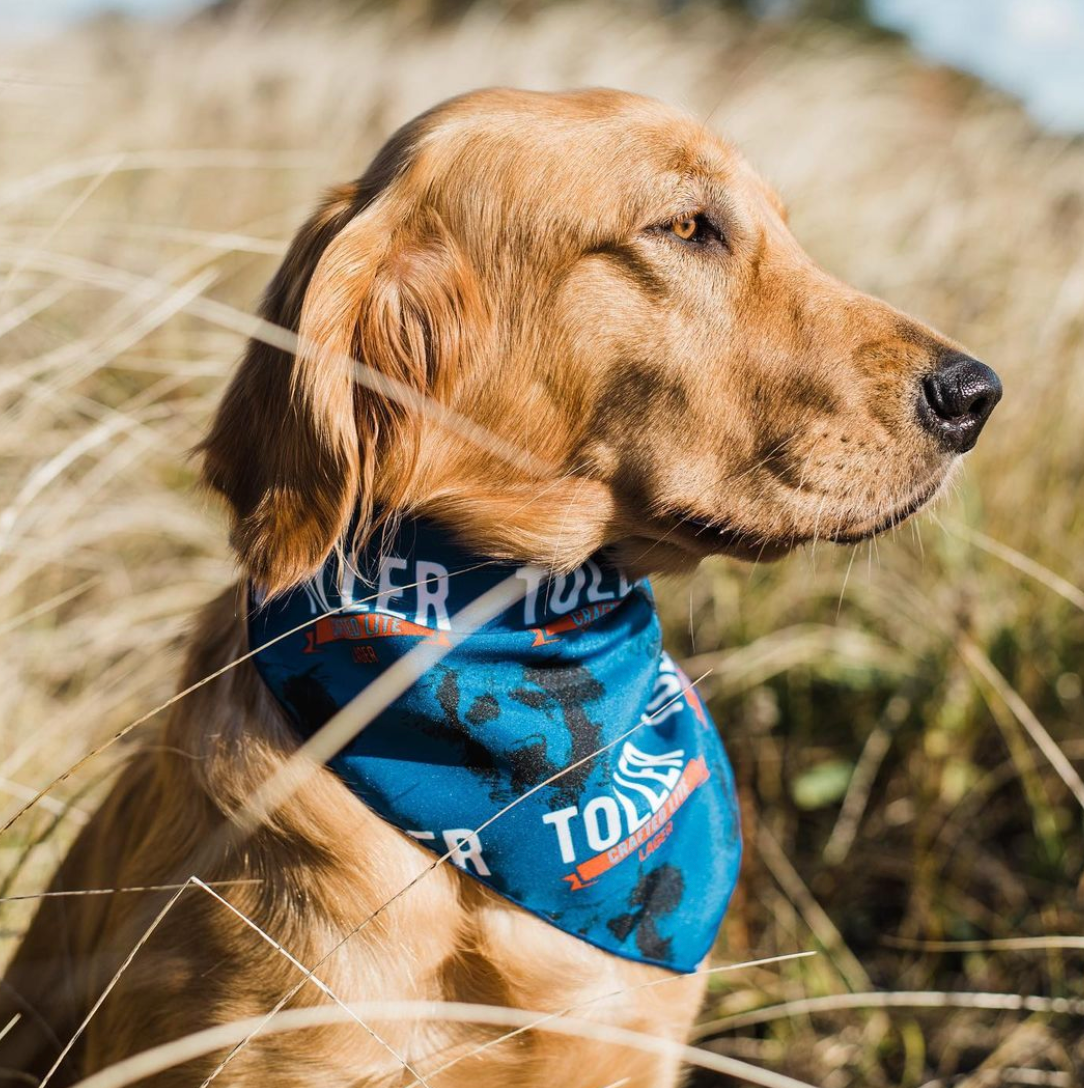Dog bandana companies hot sale